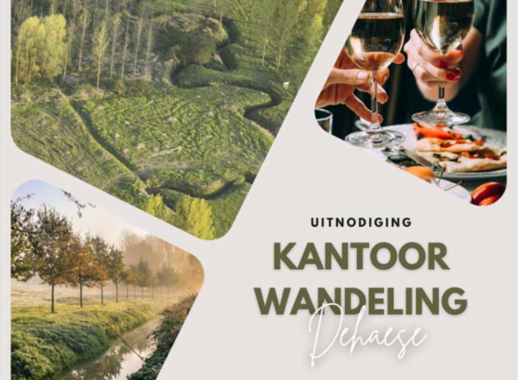 Kantoorwandeling 2024 - 1